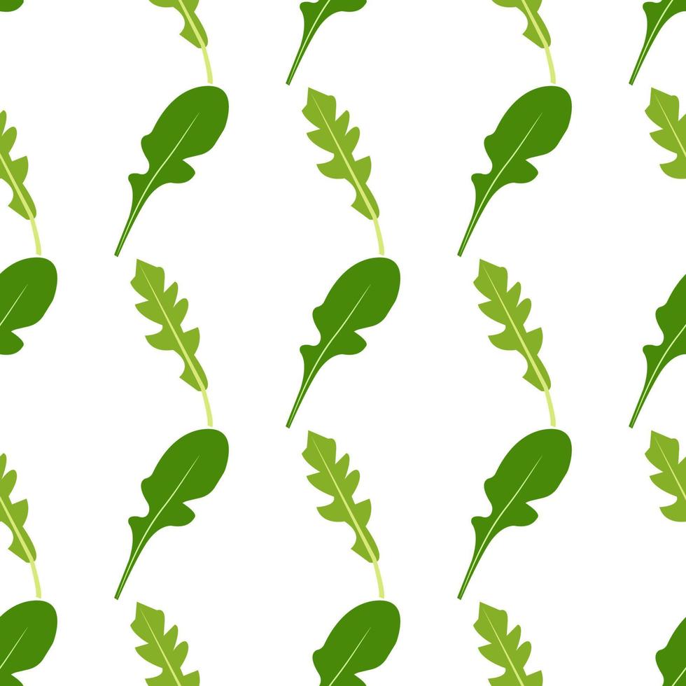 naadloze patroon van rucola bladeren op een witte achtergrond. vectorillustratie in vlakke stijl. vector