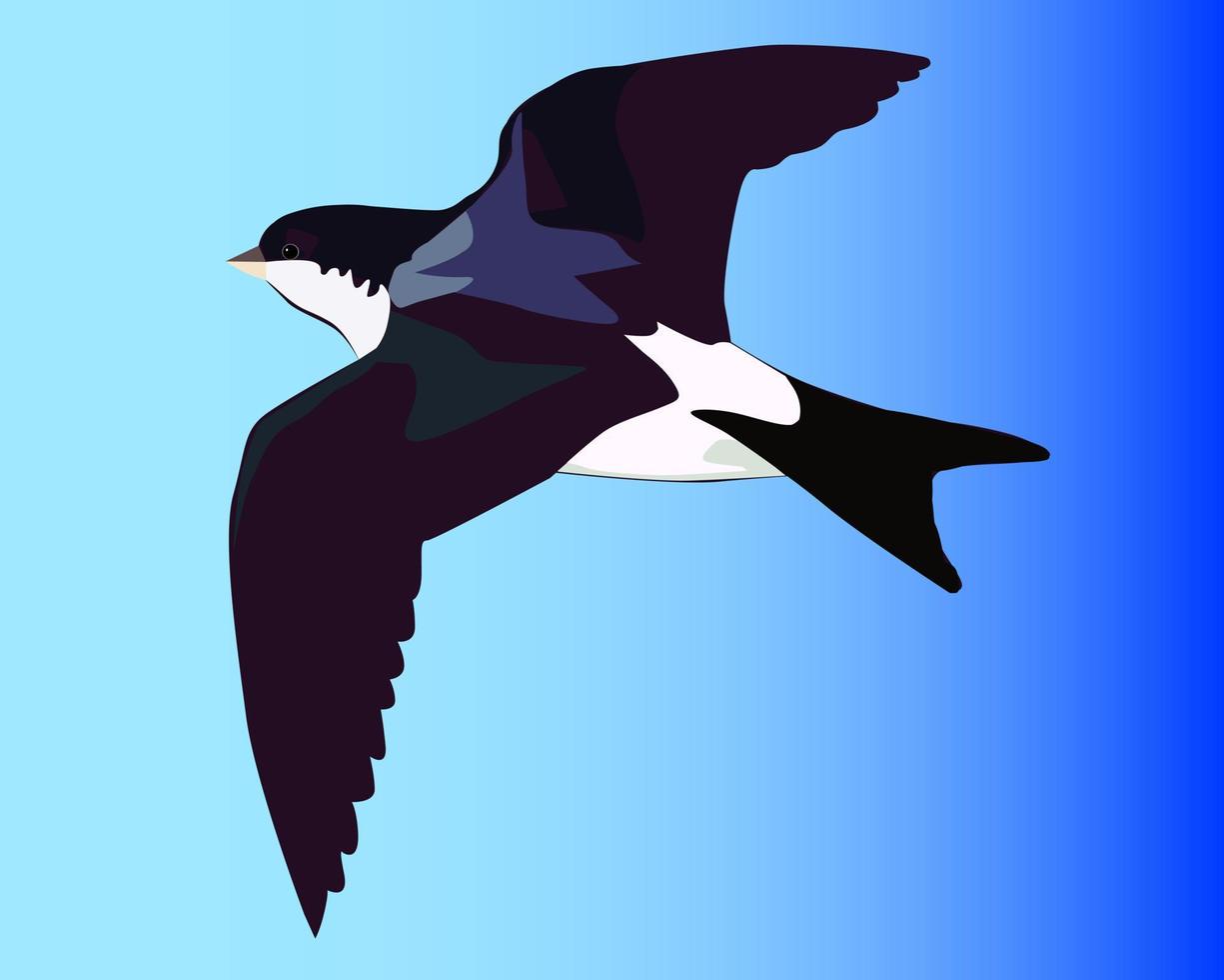 vliegende zwaluw op een blauwe achtergrond vector