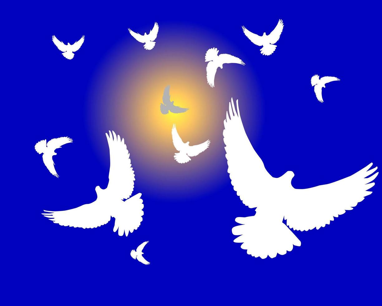 groep witte duiven tegen de blauwe zonnehemel vector