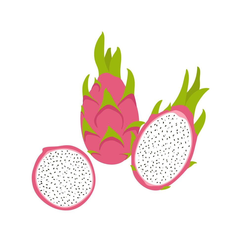 handgetekende dragon fruit-elementen. hele, halve en plak exotisch fruit illustratie vector