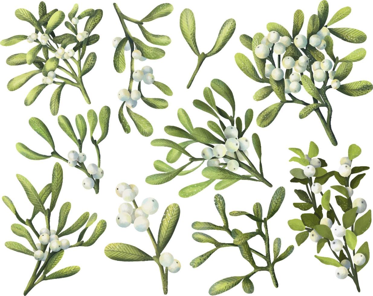 aquarel kerst planten set. handgetekende maretak. botanische elementen geïsoleerd op een witte achtergrond. vector