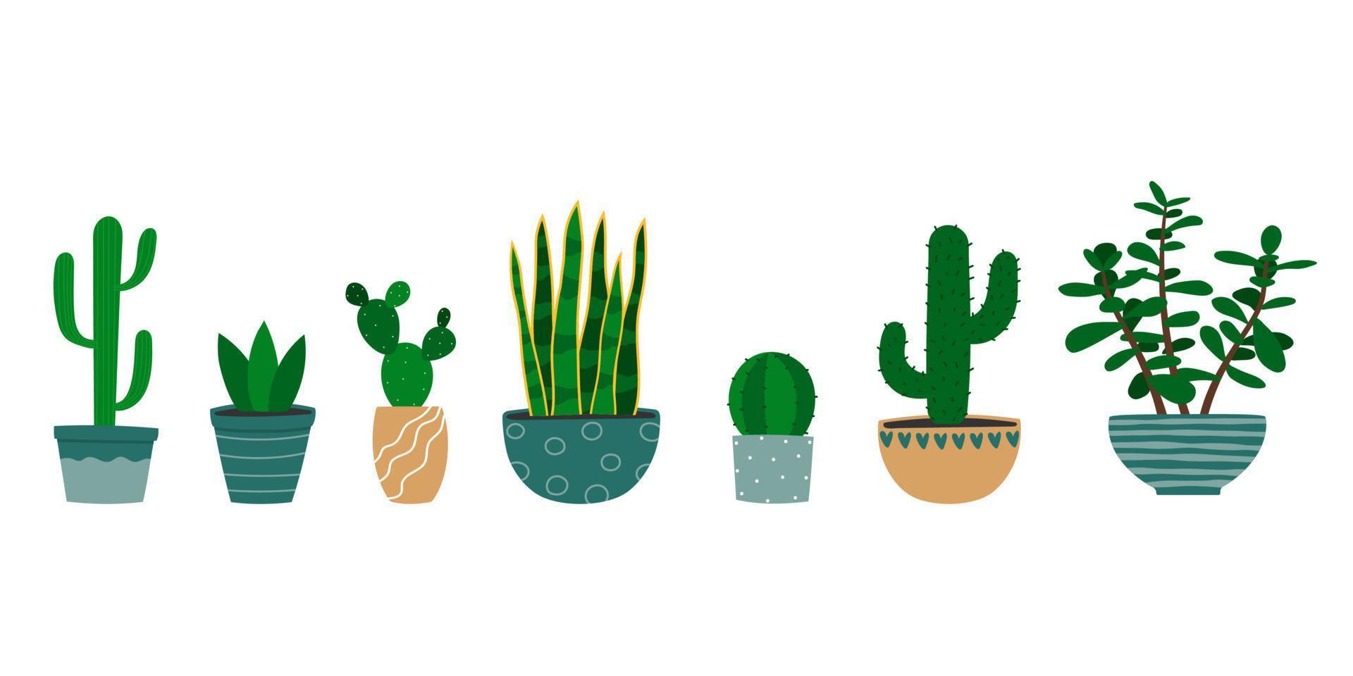 set van verschillende cactussen en vetplanten in bloempot. cartoon kleurrijke kamerplanten. vector