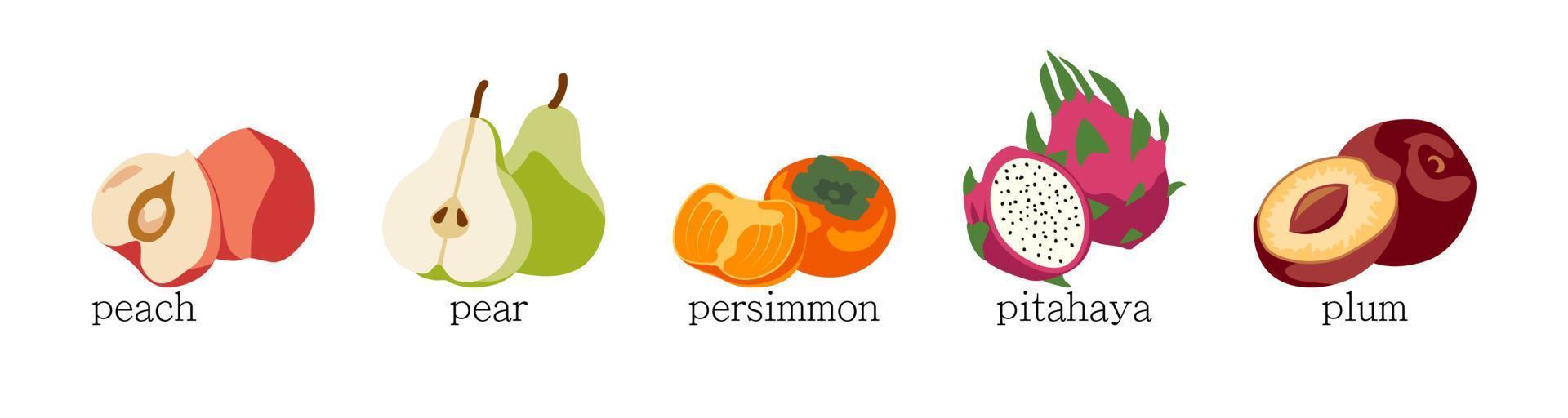 vector fruit icon set