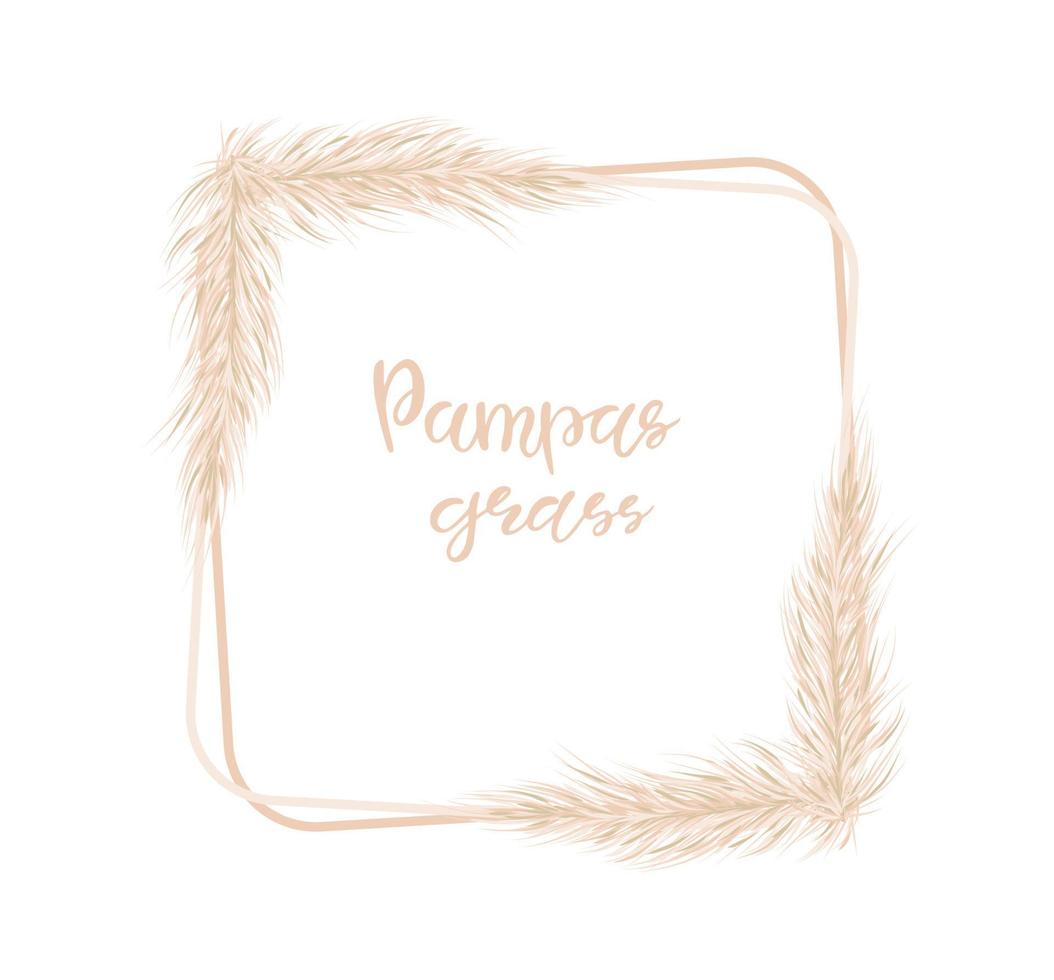 pampagras is een delicaat vierkant frame voor het ontwerpen van huwelijksuitnodigingen, ansichtkaarten. selloana. vector handgetekende illustratie