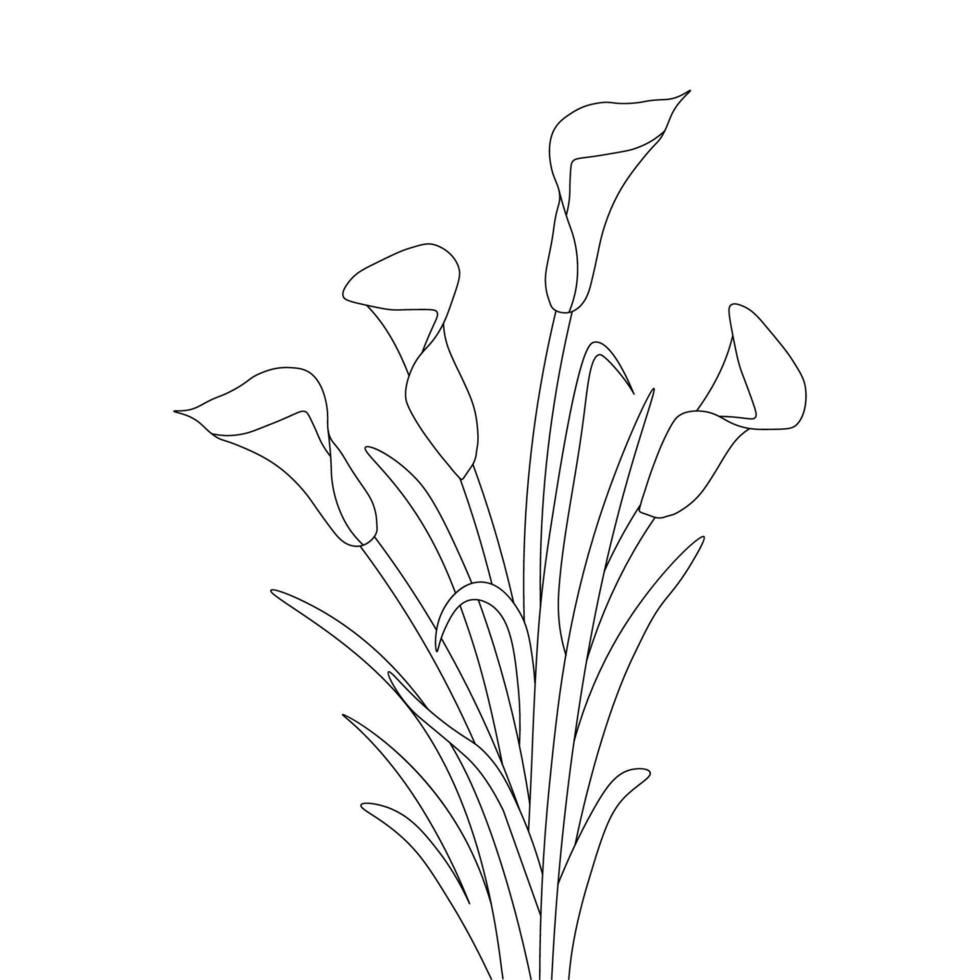 illustratie van calla bloem lijntekeningen met mooie bladtekening voor kleurplaat vector
