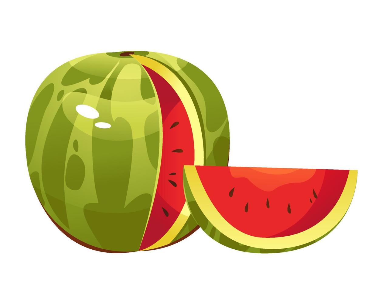 watermeloen vectorillustratie op een witte achtergrond. fruit, bessen. vector