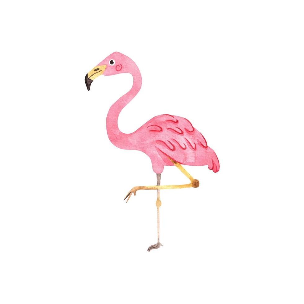 flamingo aquarel illustratie geïsoleerd op een witte achtergrond. exotische tropische roze vogel voor ontwerp vector