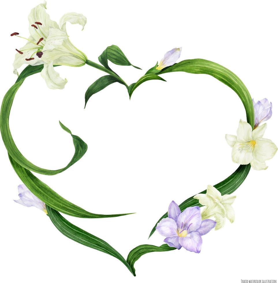 tropische hartkrans met witte lelie en violette fresia, getraceerde aquarel vector