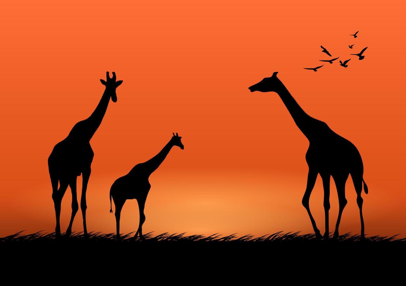 grafische afbeelding giraffe in het bos met schemering silhouet achtergrond vectorillustratie vector