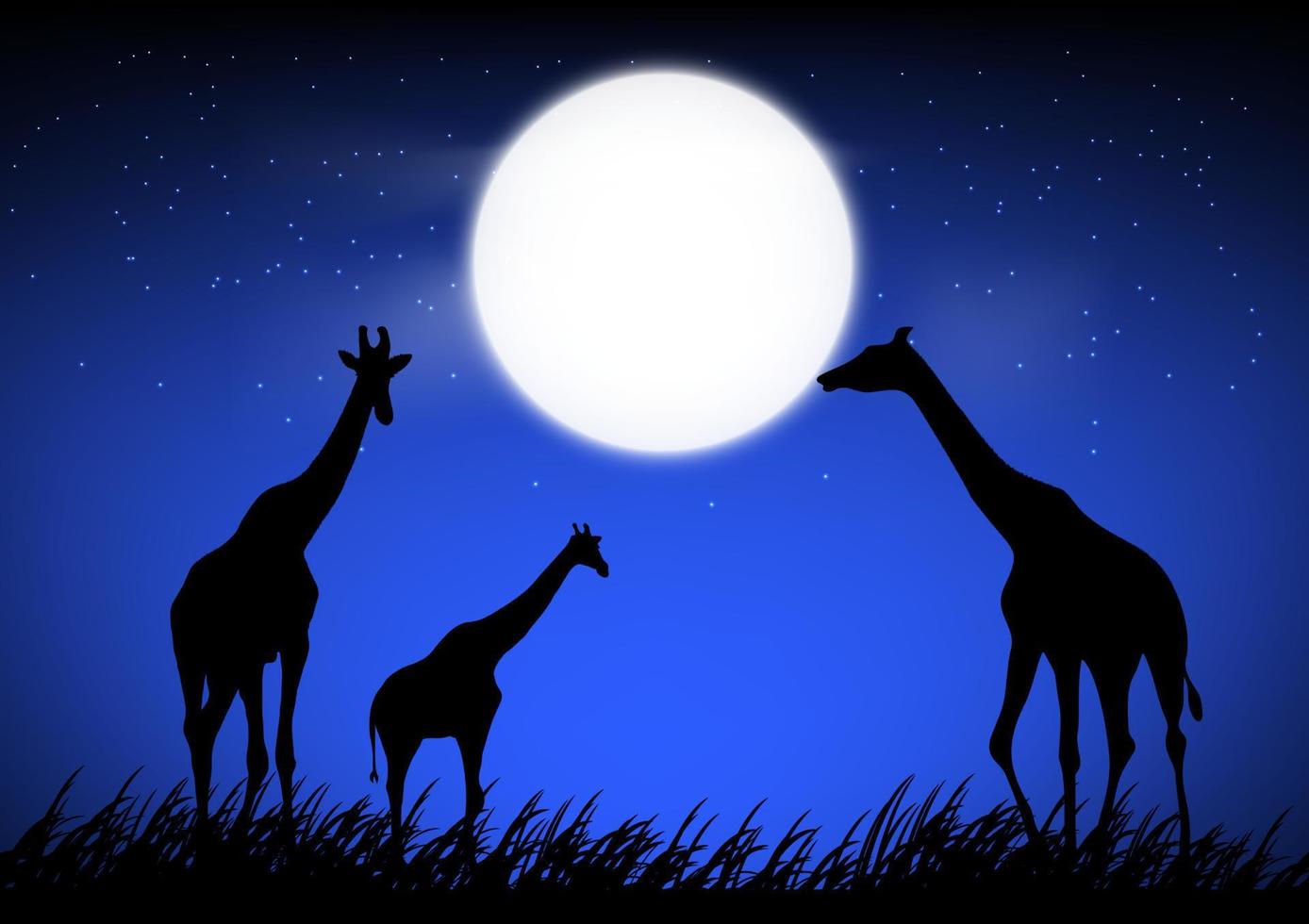 giraf stan op het gras in het bos met maanachtergrond 's nachts grafisch ontwerp vectorillustratie vector
