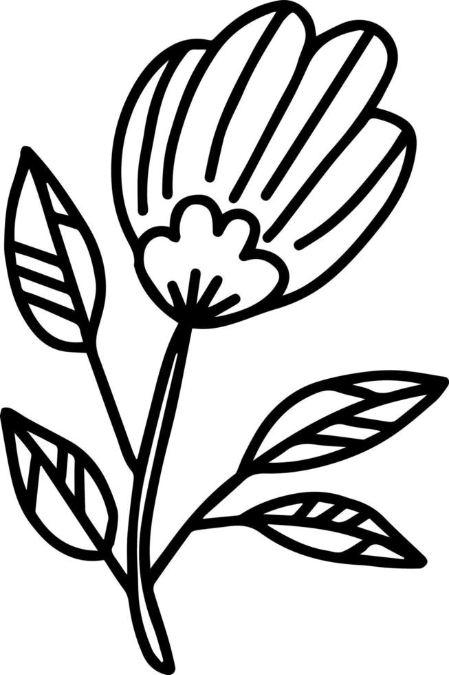 vector tak met bladeren zwart en wit. minimalistische botanische illustratie, handtekening