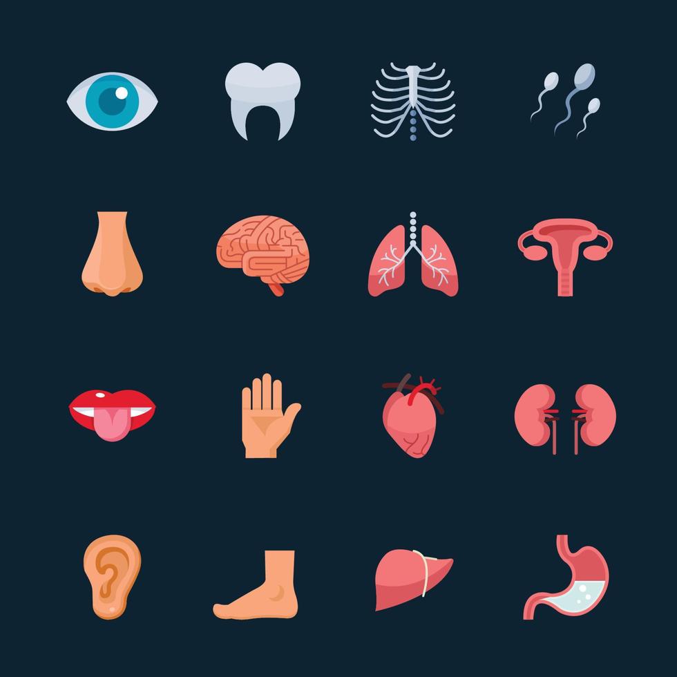 menselijke anatomie en interne orgelpictogrammen met zwarte achtergrond vector