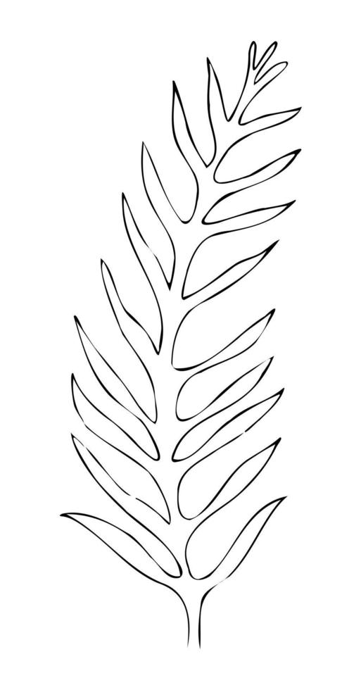 bladeren contour, handgetekende vector tekening