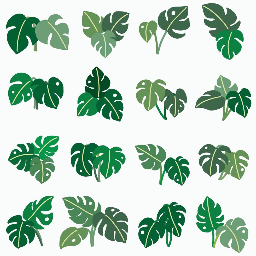 boho monstera blad uit de vrije hand tekenen plat ontwerp. vector