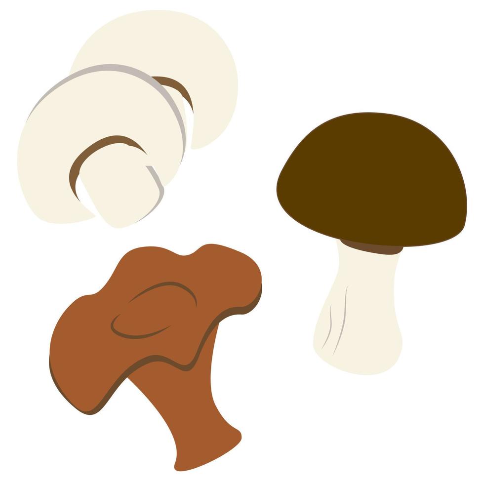 set van drie handgetekende paddestoelen in cartoon-stijl. champignon, cantharellen, witte champignon. vector