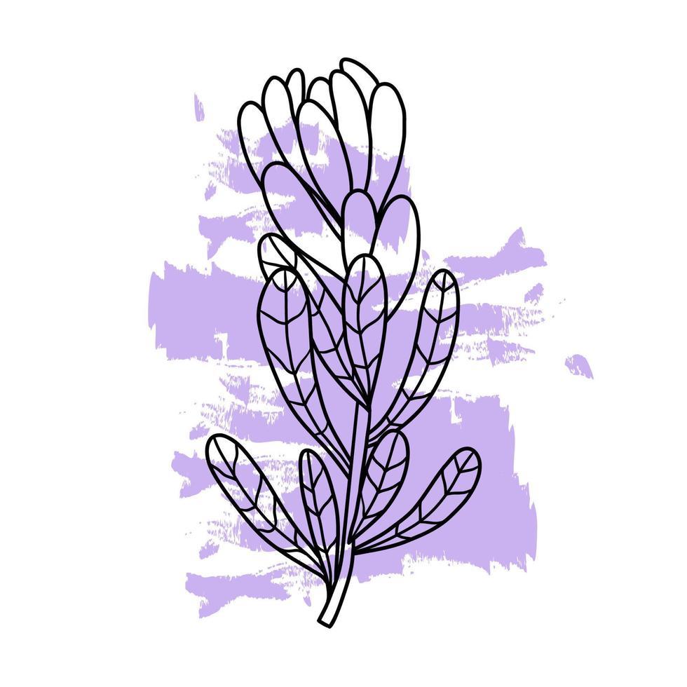 doodle plant op een gekleurde abstracte plek. bloem getekend met zwarte lijnen. vectorillustratie in vlakke stijl op witte achtergrond. vector