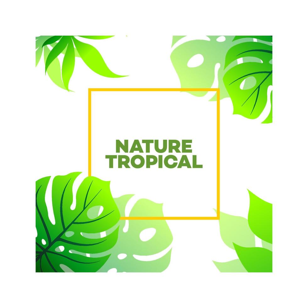 vector banner set met groene tropische bladeren. exotisch botanisch ontwerp voor cosmetica, spa, parfum, schoonheidssalon, reisbureau, bloemist. het beste als huwelijksuitnodigingskaart