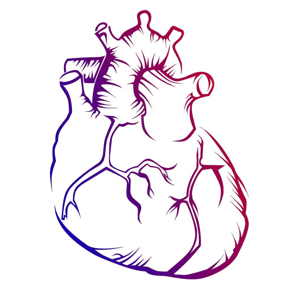 cardiovasculaire vector afbeelding