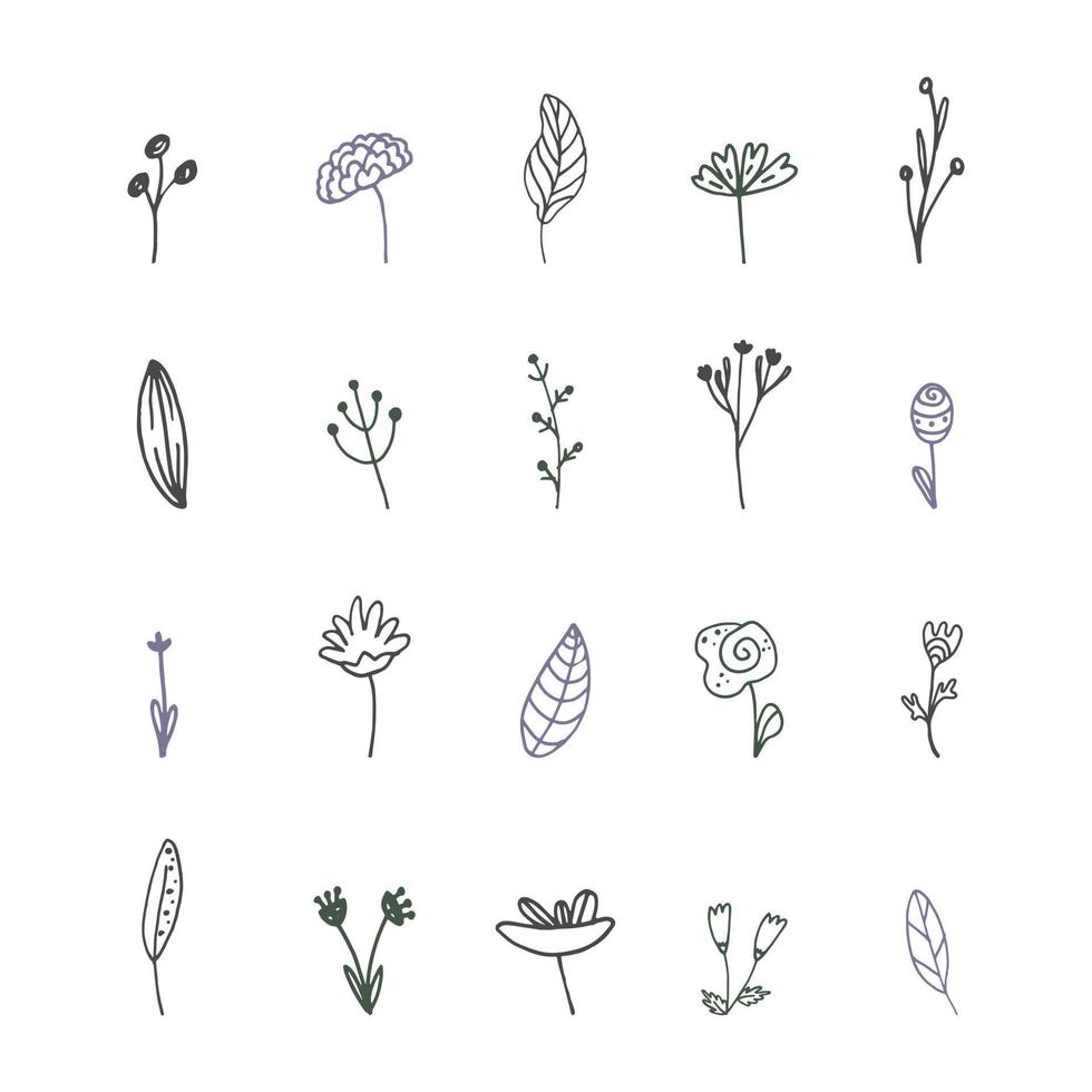 set van gestileerde doodle planten. vectorillustratie, met de hand getekend vector