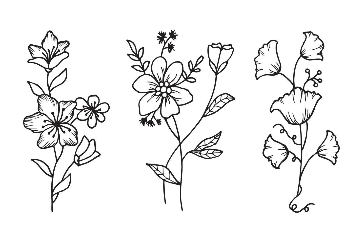 hand getrokken vector bloemen ontwerpelementen. vectorillustratie.