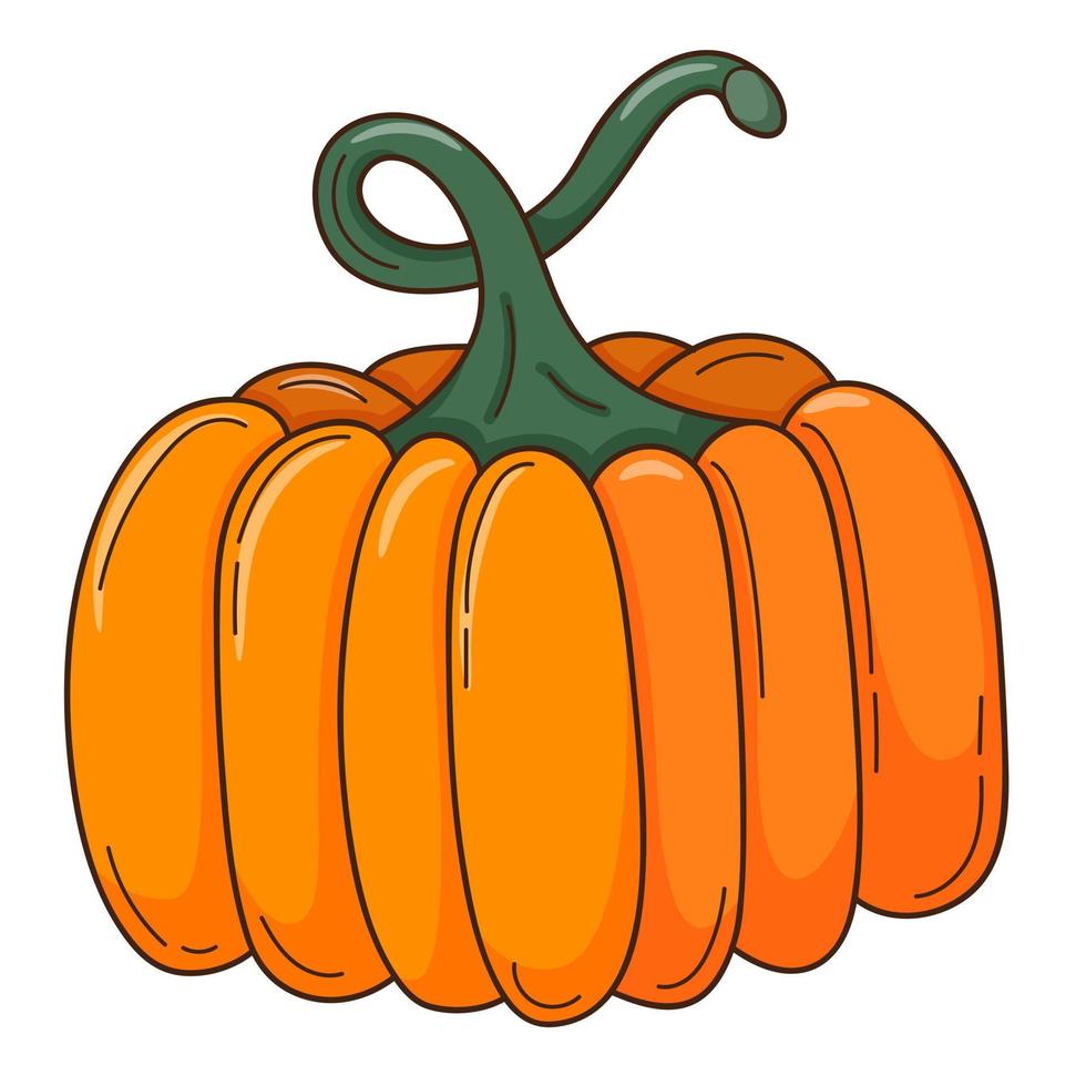 een hele oranje pompoen. een symbool van de herfst, oogst. ontwerpelement met omtrek. krabbel, met de hand getekend. plat ontwerp. groente, meloenplant. kleur vectorillustratie. geïsoleerd op een witte achtergrond. vector