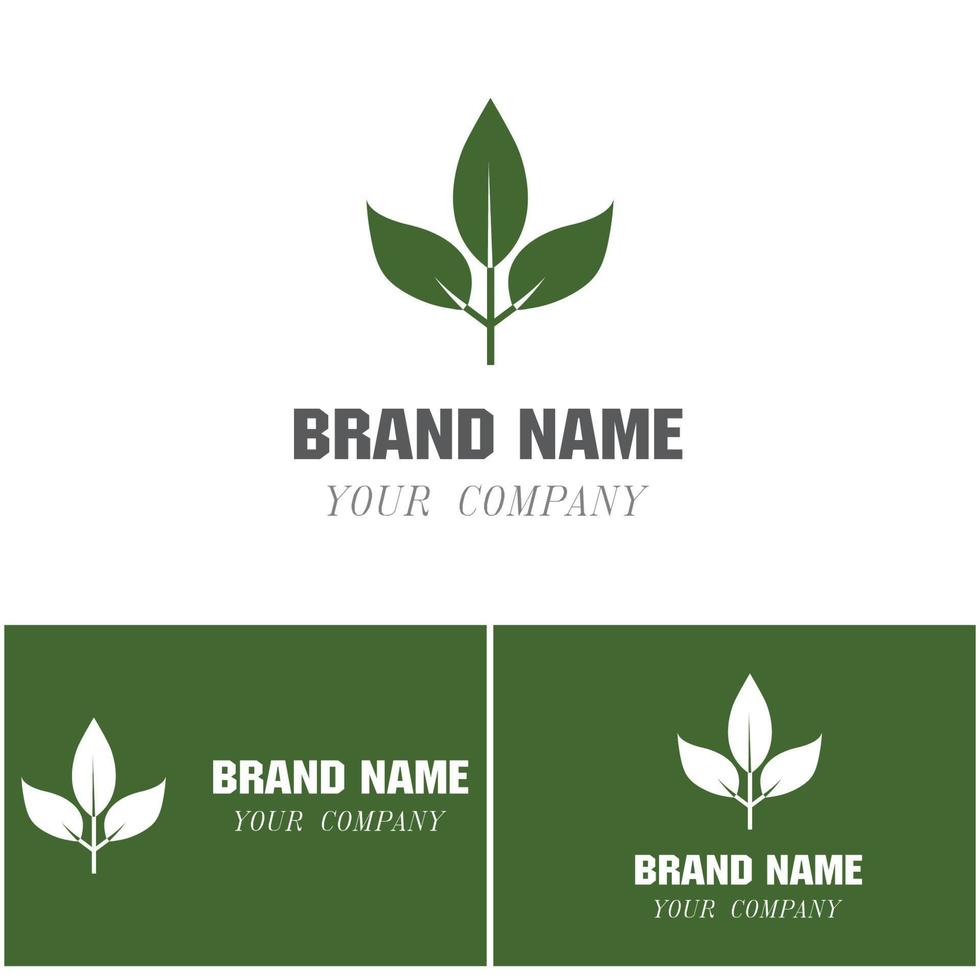 logo's van groene boom blad ecologie natuur element vector