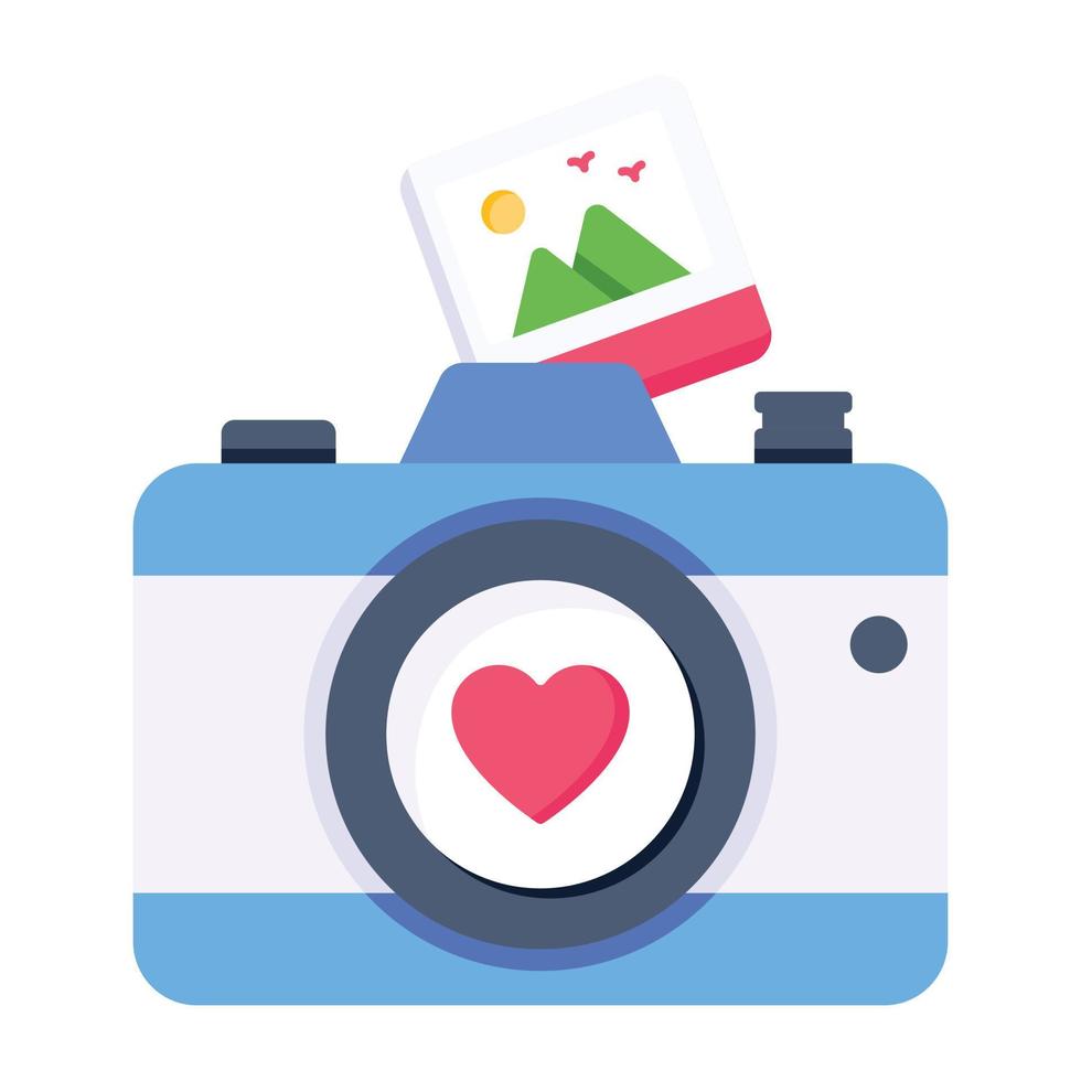 premium plat icoon van valentijnfotografie vector