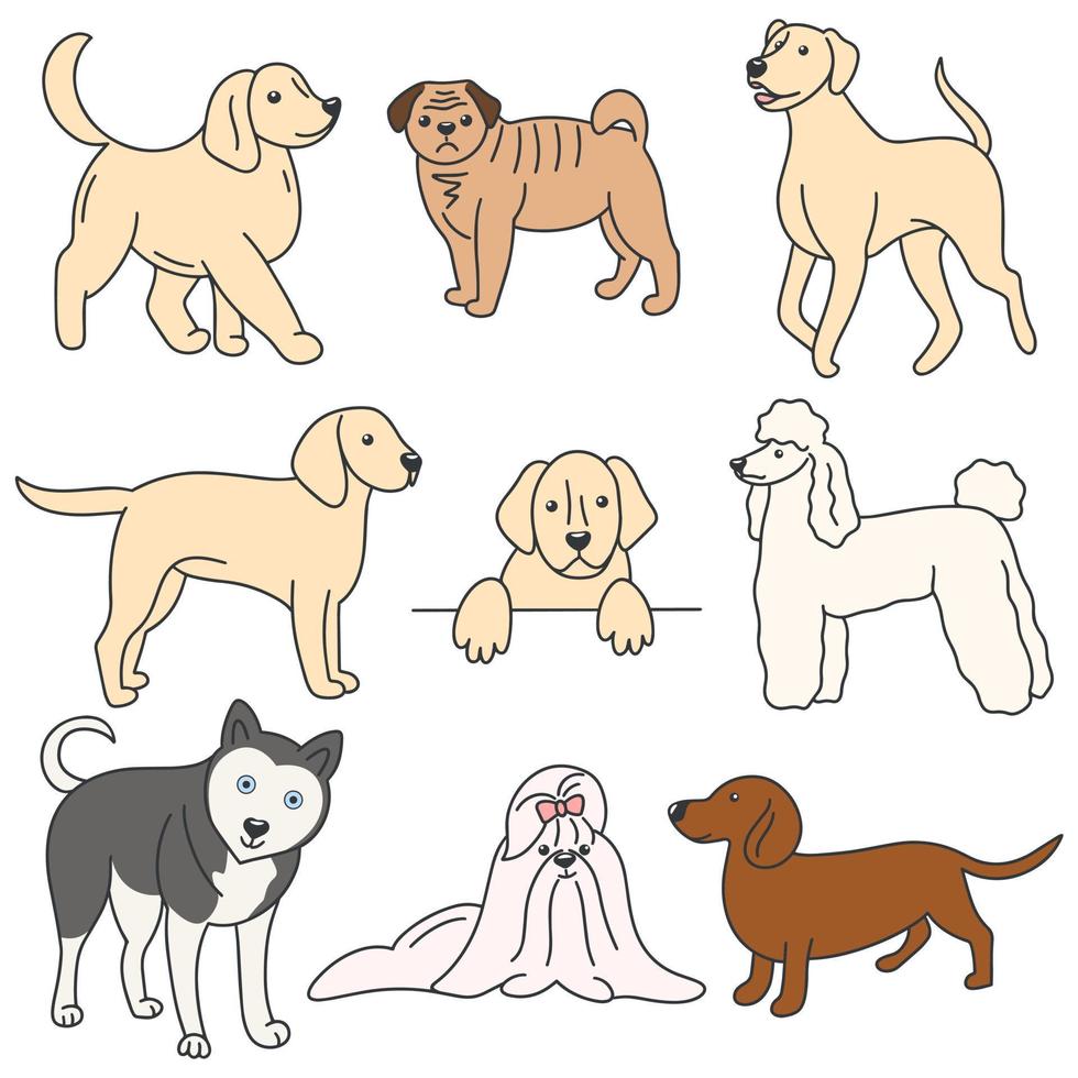 set hond gekleurde doodle stijl vector