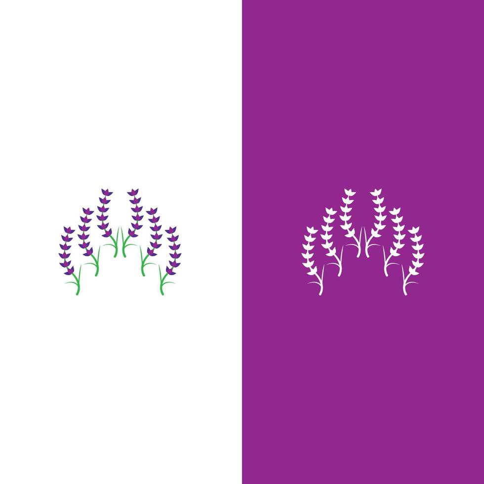 verse lavendel bloem logo vector