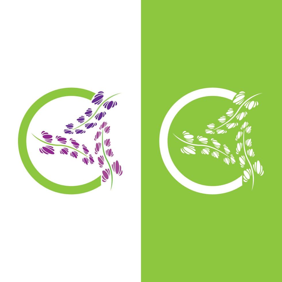 verse lavendel bloem logo vector