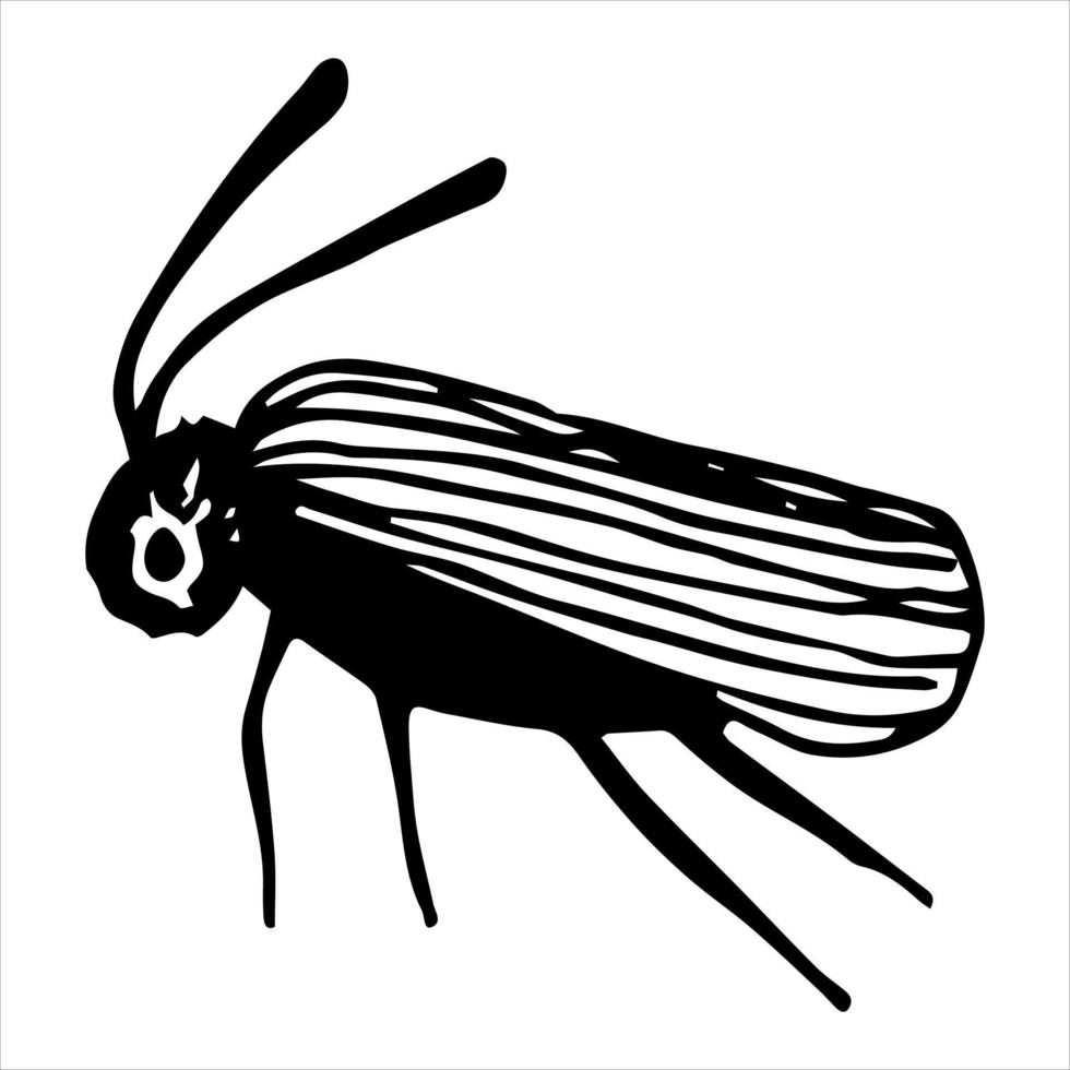 vectorillustraties van insecten, vlinders en bloemen. vector