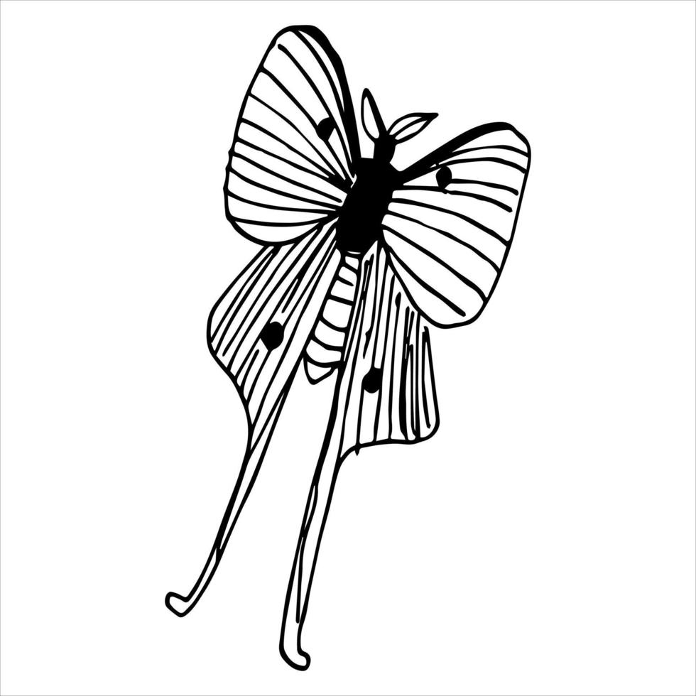 vectorillustraties van insecten, vlinders en bloemen. vector