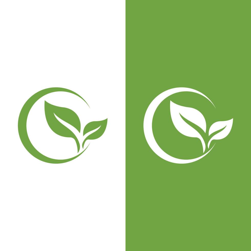 logo's van groene boom blad ecologie vector