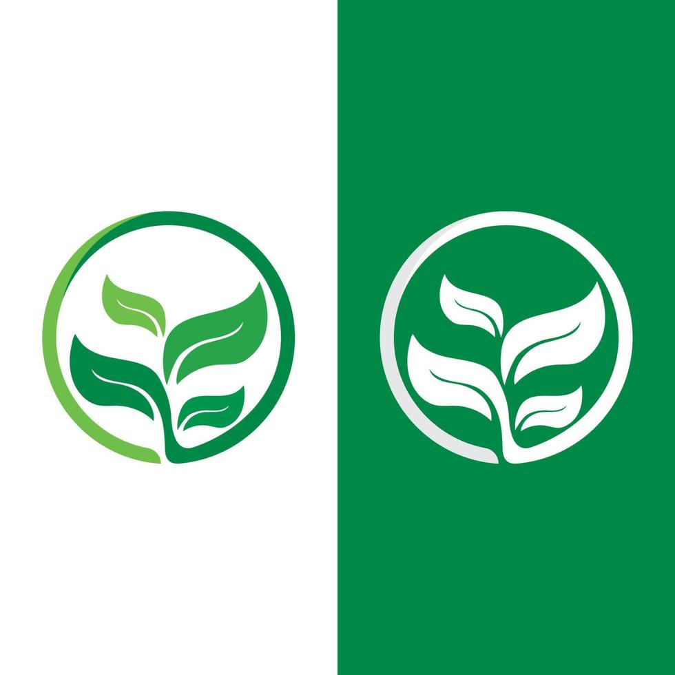 logo's van groene boom blad ecologie vector