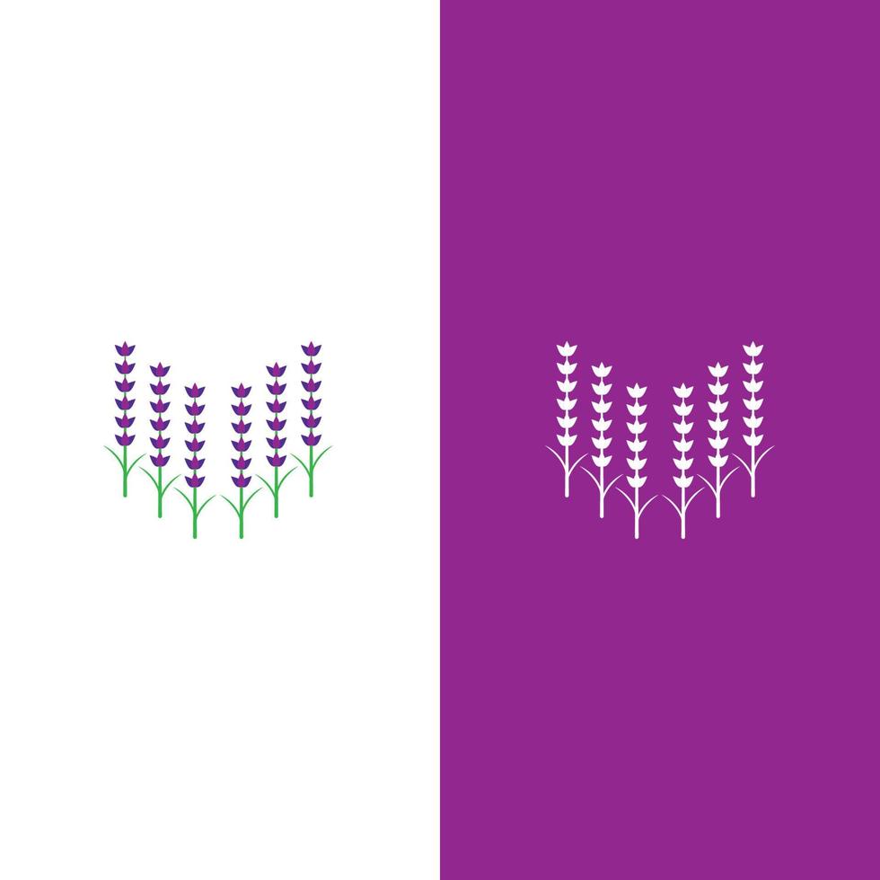 verse lavendel bloem logo vector