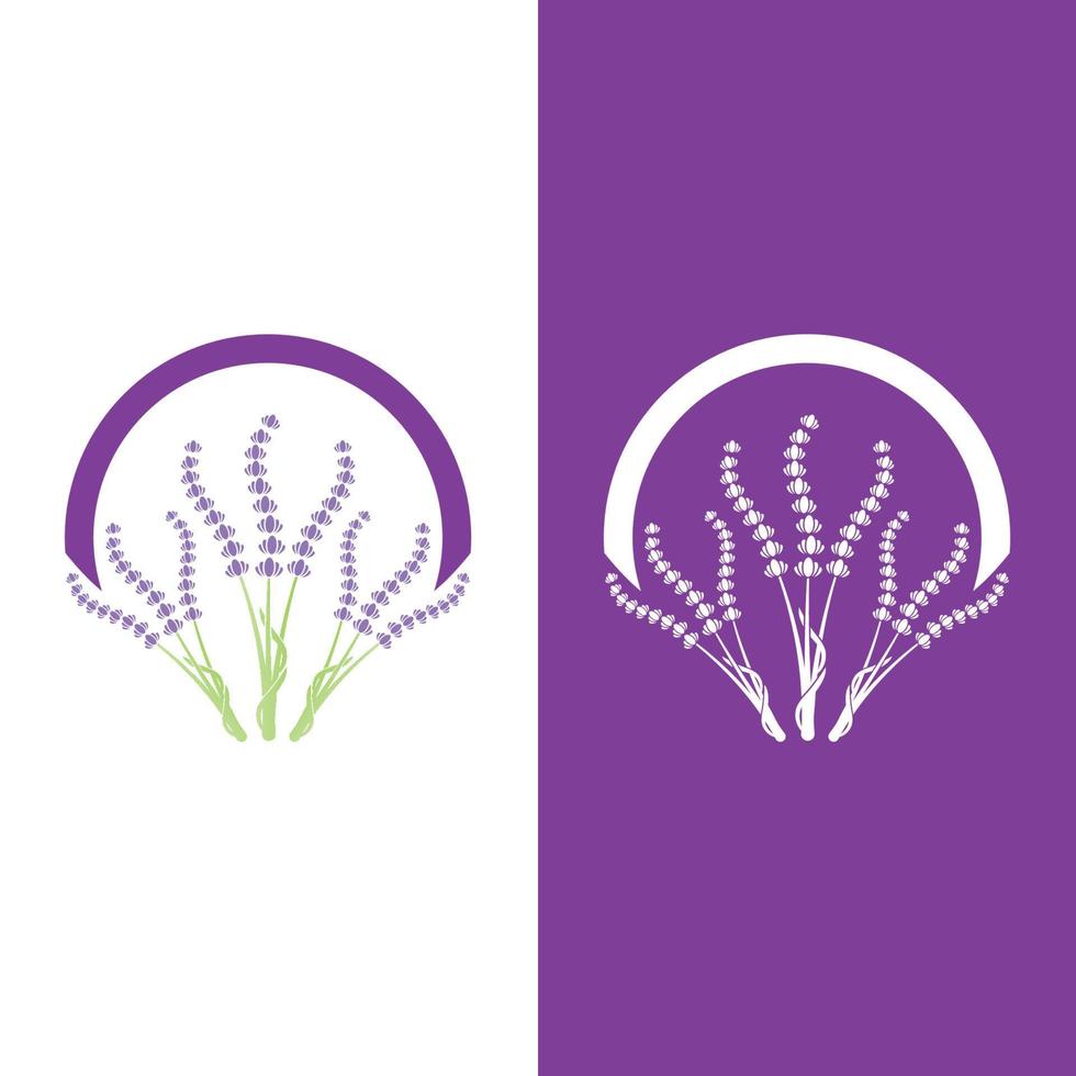 verse lavendel bloem logo vector