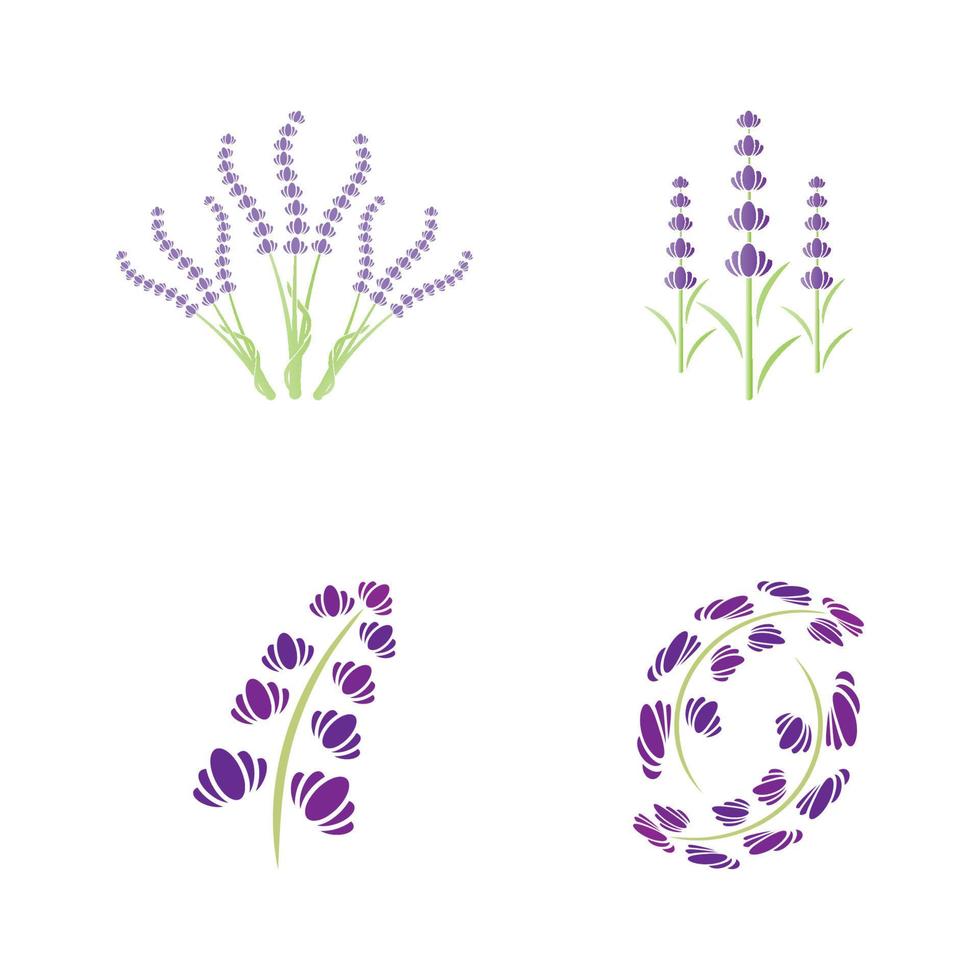 verse lavendel bloem logo vector