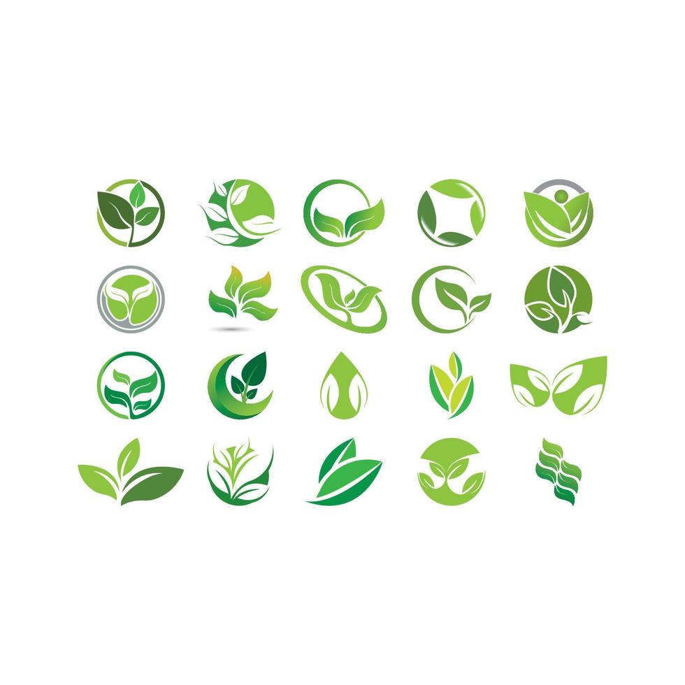 logo's van groene boom blad ecologie vector