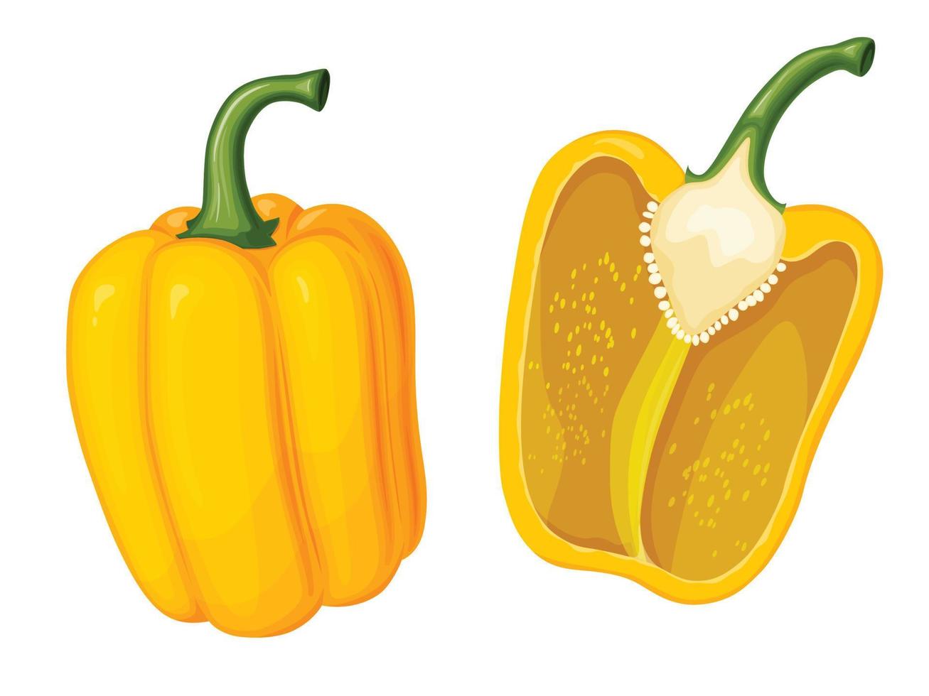 zoete gele paprika. illustratie van groente in cartoon eenvoudige vlakke stijl. vector