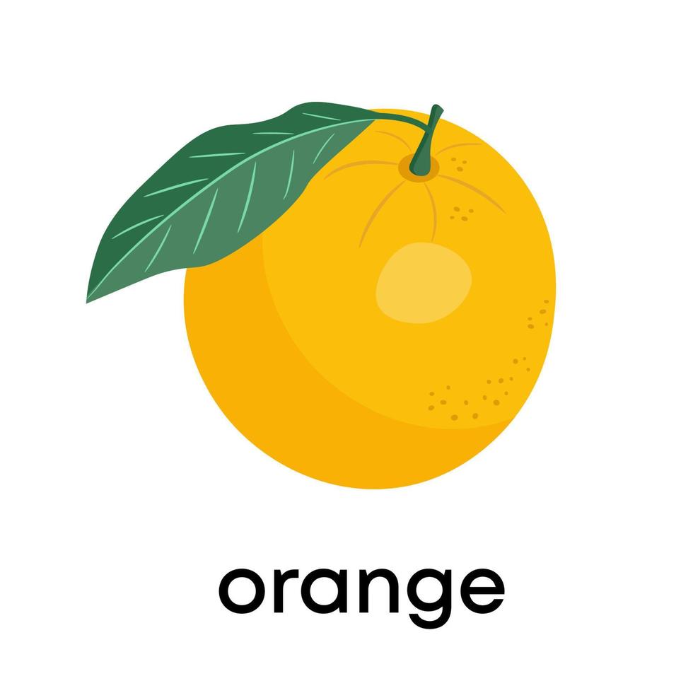 oranje fruit met blad en plak. vectorillustratie in vlakke stijl vector