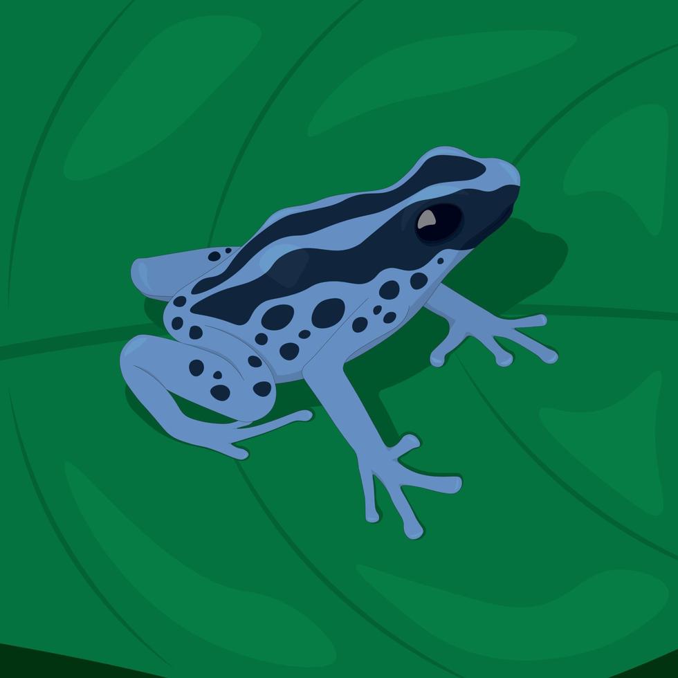 blauwe vlek tropische kikker op blad vectorillustratie vector