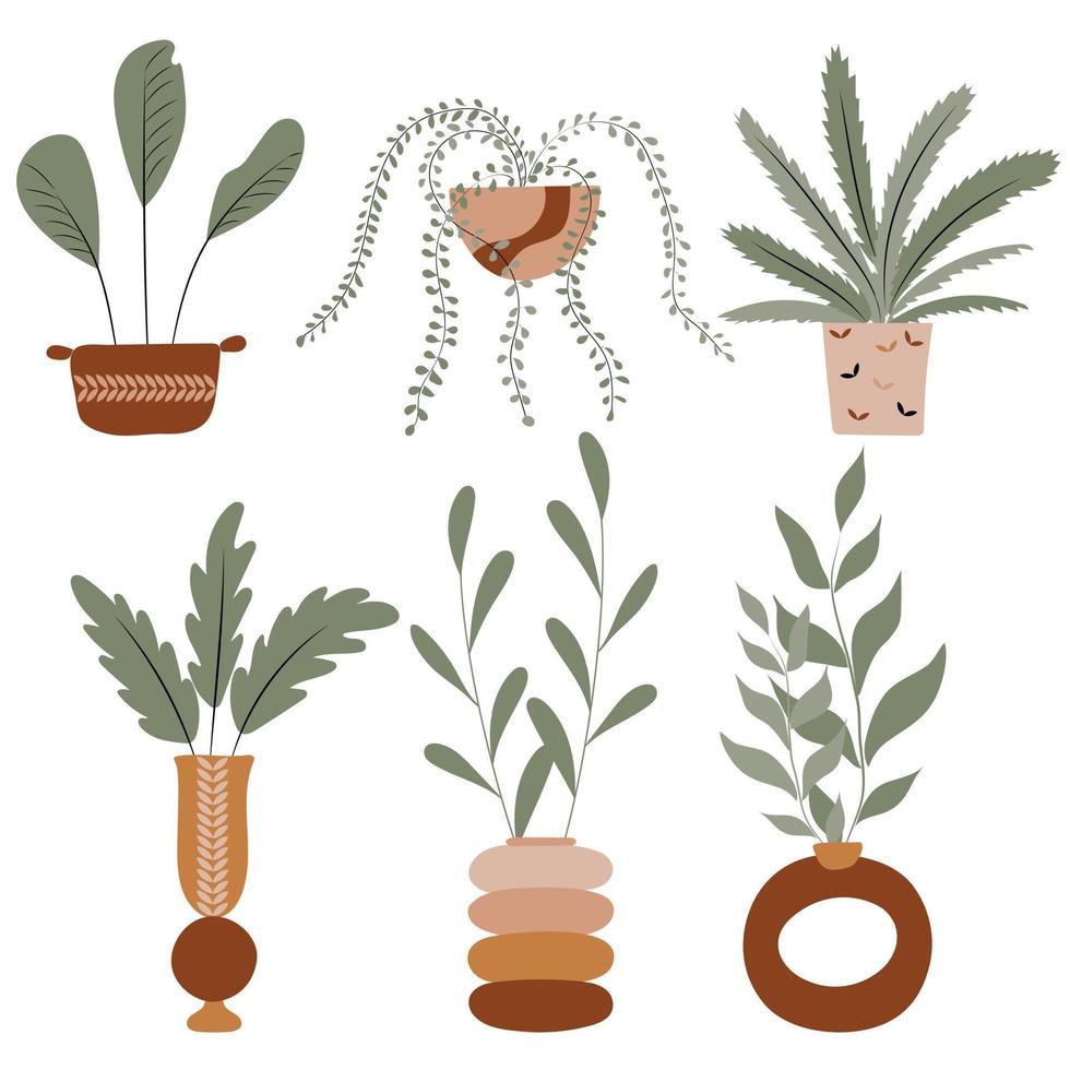 handgetekende kamerplanten in potten en vazen, premium vector