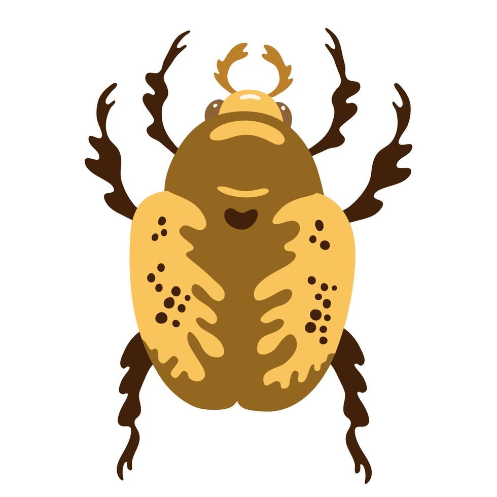 exotische bug, kever icoon. insect bug in platte cartoon stijl geïsoleerd op een witte achtergrond. vectorillustratie om af te drukken, kinderdagverblijf, kleding, kaarten. vector