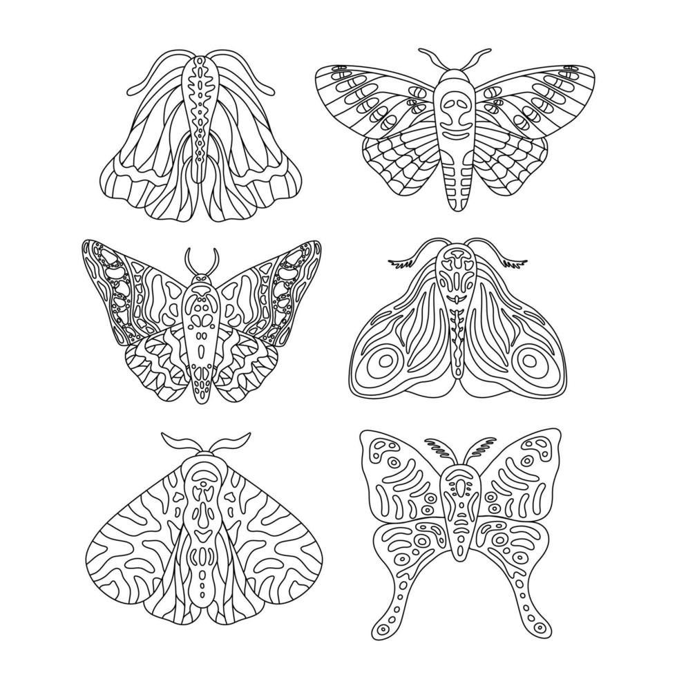 exotische vlinders, mottencollectie. set van tropische vliegende insecten lijn kunst vector hand getrokken geïsoleerde illustratie. gestileerde mystieke ontwerpelementen voor tatoeage, print, omslag, boek, kleurplaat