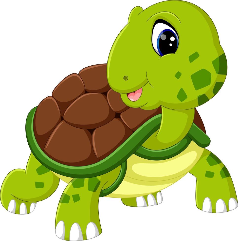 schattige schildpad cartoon vector