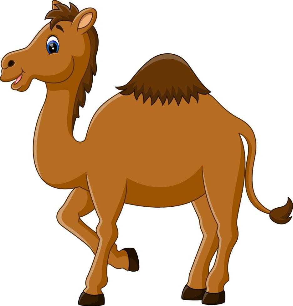 illustratie van schattige grappige kameel vector