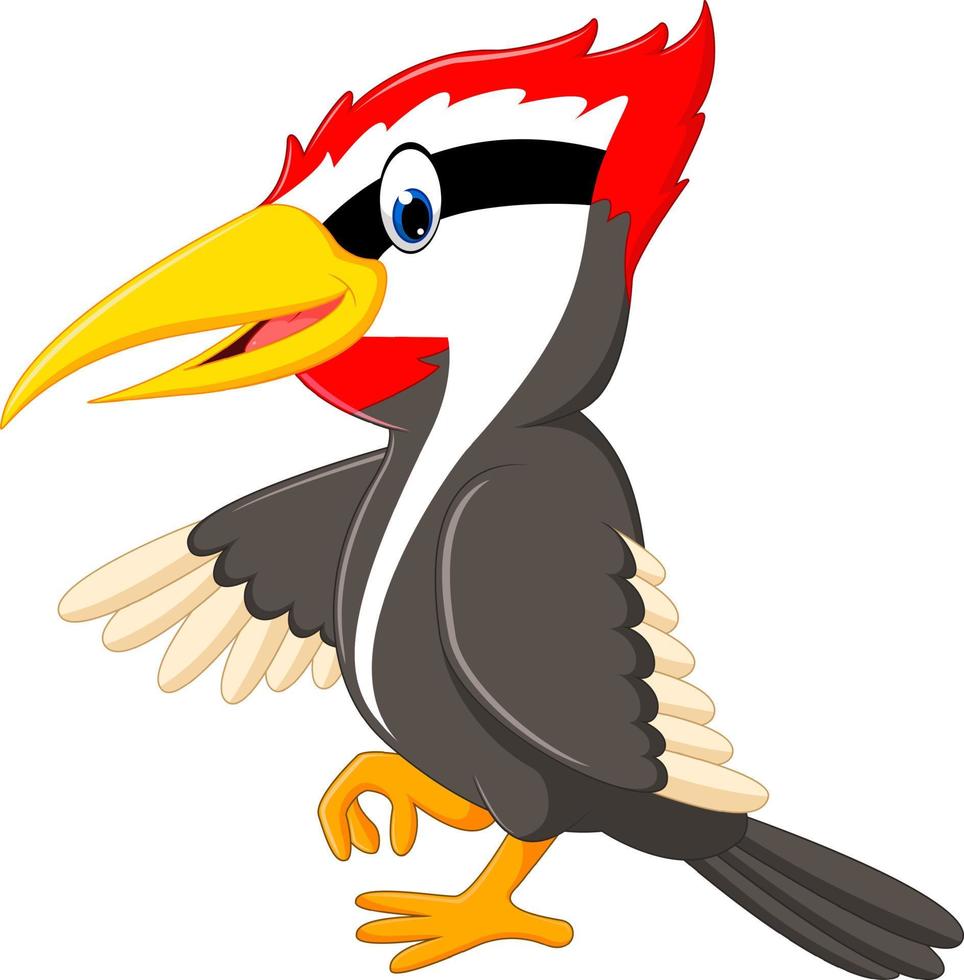 specht vogel cartoon vector