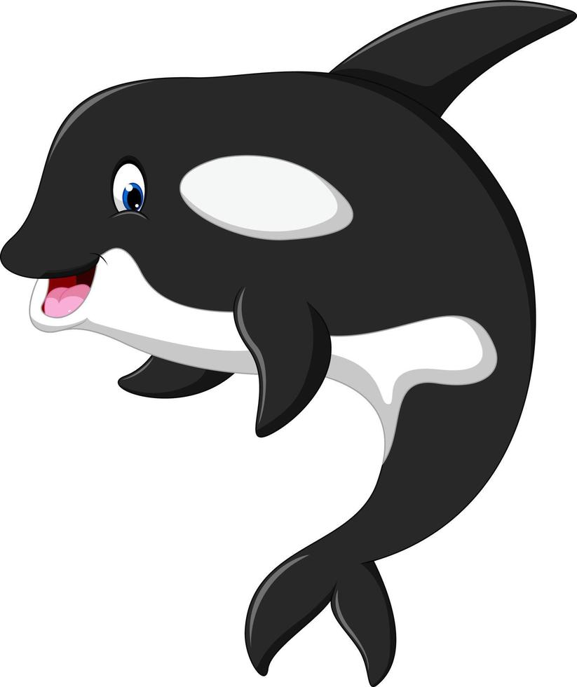 schattige orka-cartoon vector