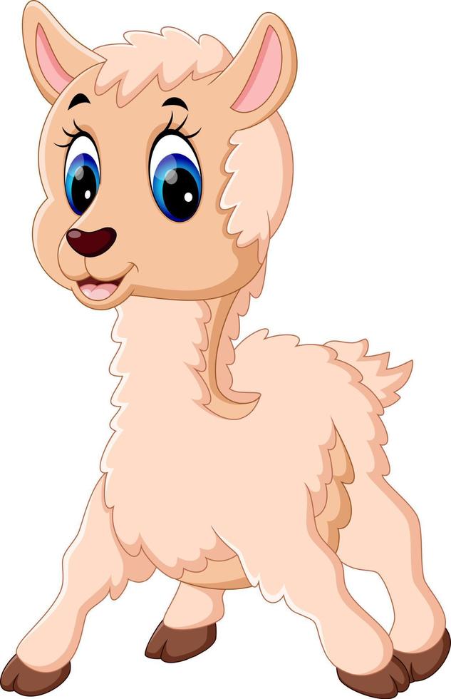 illustratie van schattige baby schapen cartoon vector