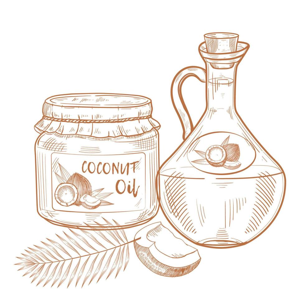 flesjes kokosolie. kook- en schoonheidsingrediënten. glazen kruik en pot, kokosnoot, palmbladeren vector hand getekende illustratie voor menu, banner, label, logo.